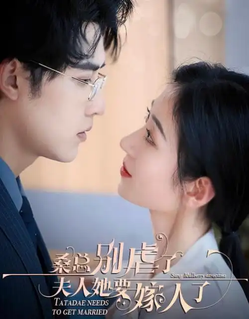 雾港谜案欧美剧集在线观看